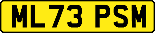 ML73PSM