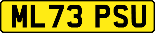ML73PSU