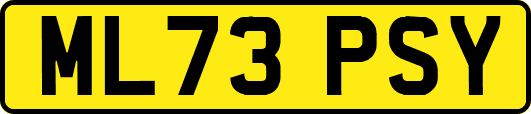 ML73PSY