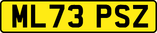 ML73PSZ