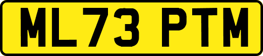 ML73PTM