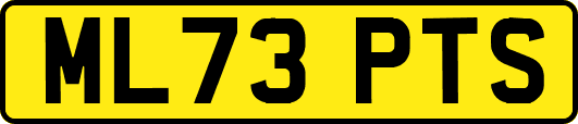 ML73PTS