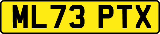 ML73PTX