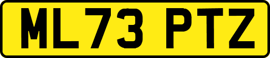 ML73PTZ