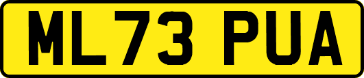 ML73PUA