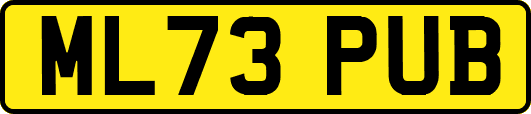 ML73PUB