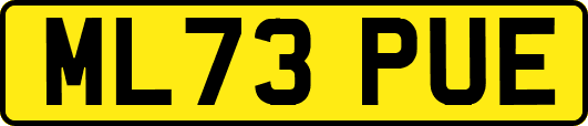 ML73PUE