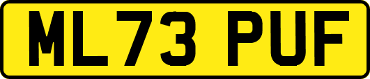 ML73PUF
