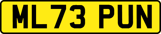 ML73PUN