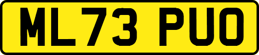 ML73PUO
