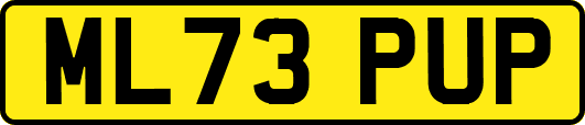 ML73PUP