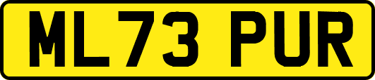 ML73PUR