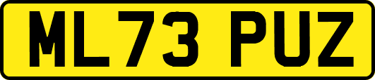 ML73PUZ