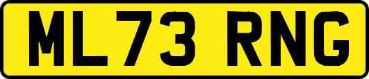 ML73RNG