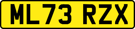 ML73RZX