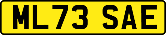 ML73SAE