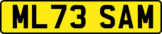 ML73SAM
