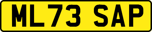 ML73SAP
