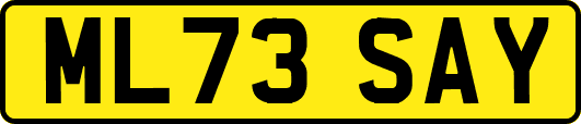 ML73SAY