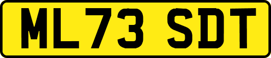 ML73SDT