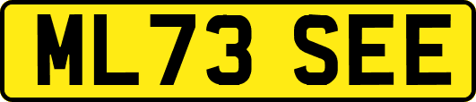 ML73SEE