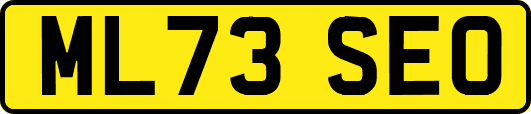 ML73SEO