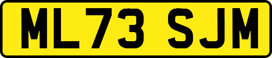 ML73SJM