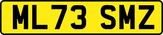 ML73SMZ