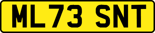 ML73SNT