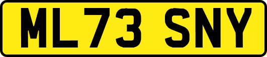 ML73SNY