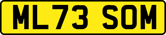 ML73SOM