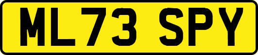 ML73SPY
