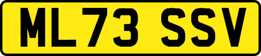 ML73SSV