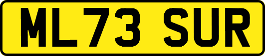 ML73SUR