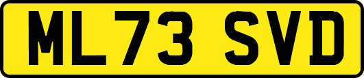 ML73SVD