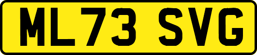ML73SVG