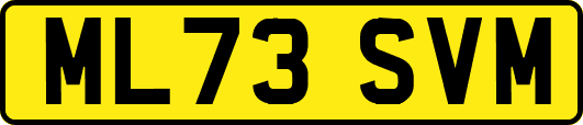 ML73SVM