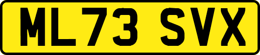 ML73SVX