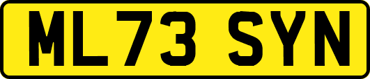 ML73SYN