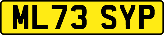 ML73SYP