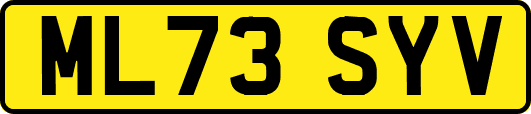 ML73SYV