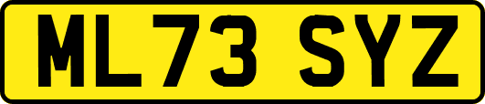 ML73SYZ