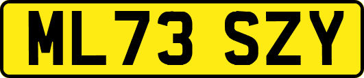 ML73SZY