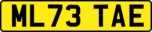 ML73TAE
