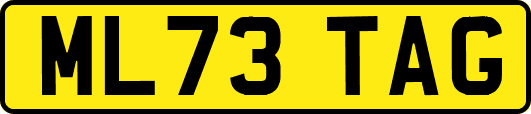 ML73TAG