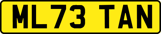 ML73TAN