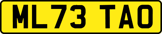 ML73TAO