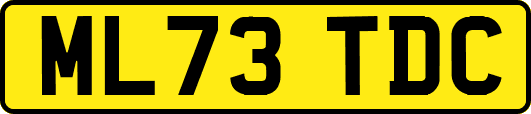 ML73TDC