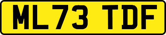 ML73TDF