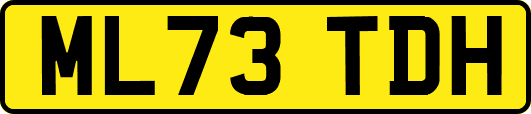 ML73TDH